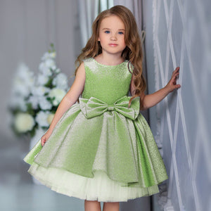 Flower Elegant Girl Dress